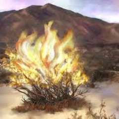 Burning Bush