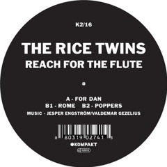The Rice Twins - For Dan