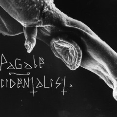 Pagale......The girl say: "Ketamine changed my life" (occidentalist album)