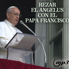 Reza el Ángelus con el Papa Francisco