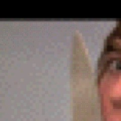 dont trust me shane dawson