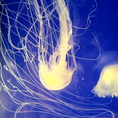 Comptine d'Un Autre Été: L'après-midi (Remix by Eric Coonrad)