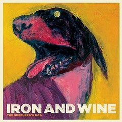 Boy with a Coin by Iron and Wine