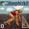 Limp Bizkit - Ready to Go (feat Lil Wayne) 2013