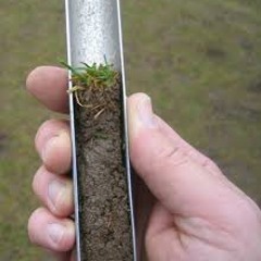 Basylon Terror - get ur freak on