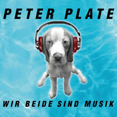 Peter Plate - Wir Beide Sind Musik (Timo Maas Dub Mix) /// Universal Records 2013