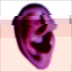 Lobe (excerpt)