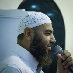 سورة الرعد الشيخ محمد عبد العزيز