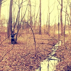 Nobody (feat. Jasmine)