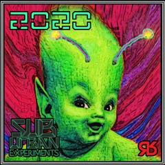 Suburban Experiments - La ascension