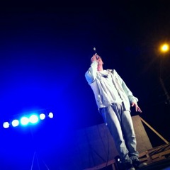 Miausone Previa 2013