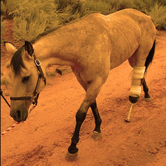 JASSKY - Cripplehorse [ft. Mike Tame]