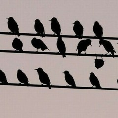 LORD TUSK | Non Conformist