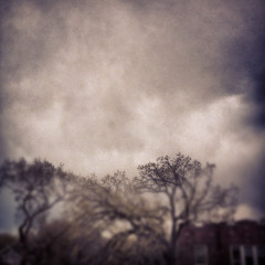 On the Nature of Daylight