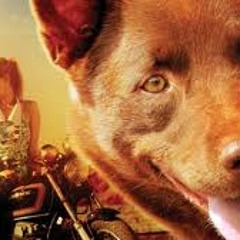 Red Dog - The Search (By Cezary Skubiszewski)