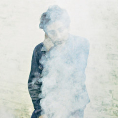 Up down escalator - chameleons cover