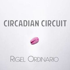 Circadian Circuit - Part II