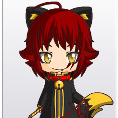 Hitomi no kotae Cover by wolf