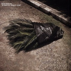 03 - You Said Party, I Said Maybe (Dub)
