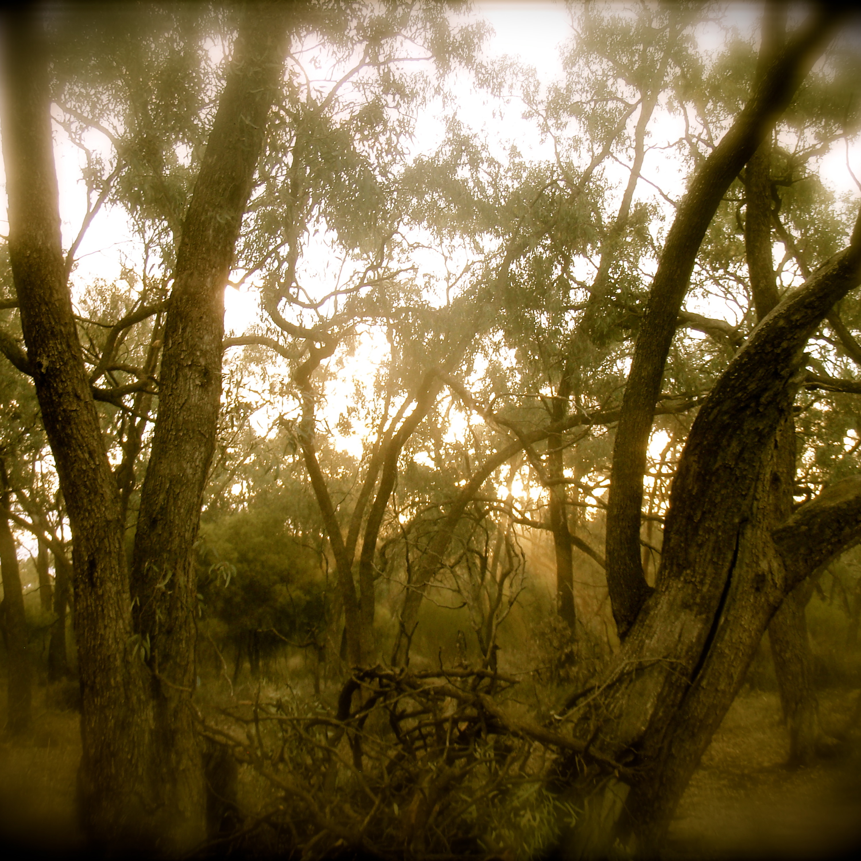 "5 AM - Psychedelic Sunrise" Morning Psy Mix By Harry Blotter April 2013 thumbnail