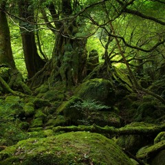 The middle path (432hz)