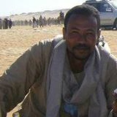 سر الرمال .. الكاجوج