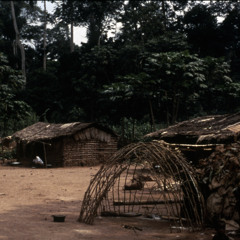 Momboli playing mbyo (Bayaka flute music, Central African Republic, 1992) [1997 21 2 54 B 1]