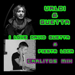 I love David Guetta - Fiesta Loca / Valdi & David Guetta (Carlitos EDM Mashup)