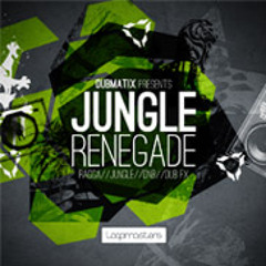 Dubmatix presents: Jungle Renegade Loop Disc Preview