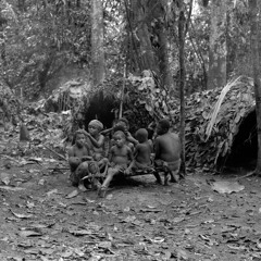 Mobila playing the mbyo (Bayaka flute music, Central African Republic, 1995) [1997 21 2 153 B 2]