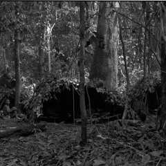 Mobila and Momboli playing mbyo and whistling (Central African Republic, 1992) 1997 21 2 236 A 4