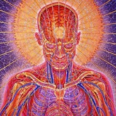 Whistle While We Work 012