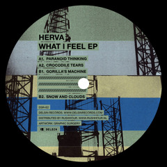 Herva - What I Feel EP [dsr-e2]