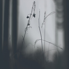 Ghosts feat. Kate Stapley