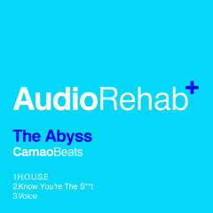 Carnao Beats - Voice