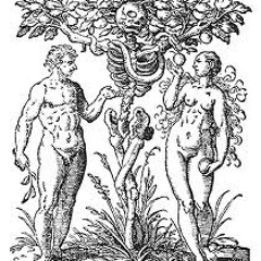 You Make Me Crazy NOLA