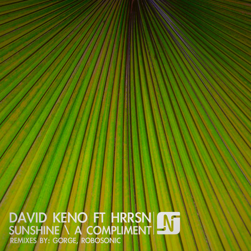 David Keno ft HRRSN - Sunshine/ A Compliment (Robosonic + Gorge Mixes)