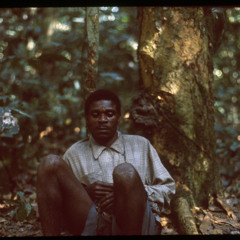 Mindumi playing mbyo with others singing (Central African Republic, 1989) [1997 21 2 341 (edited)]