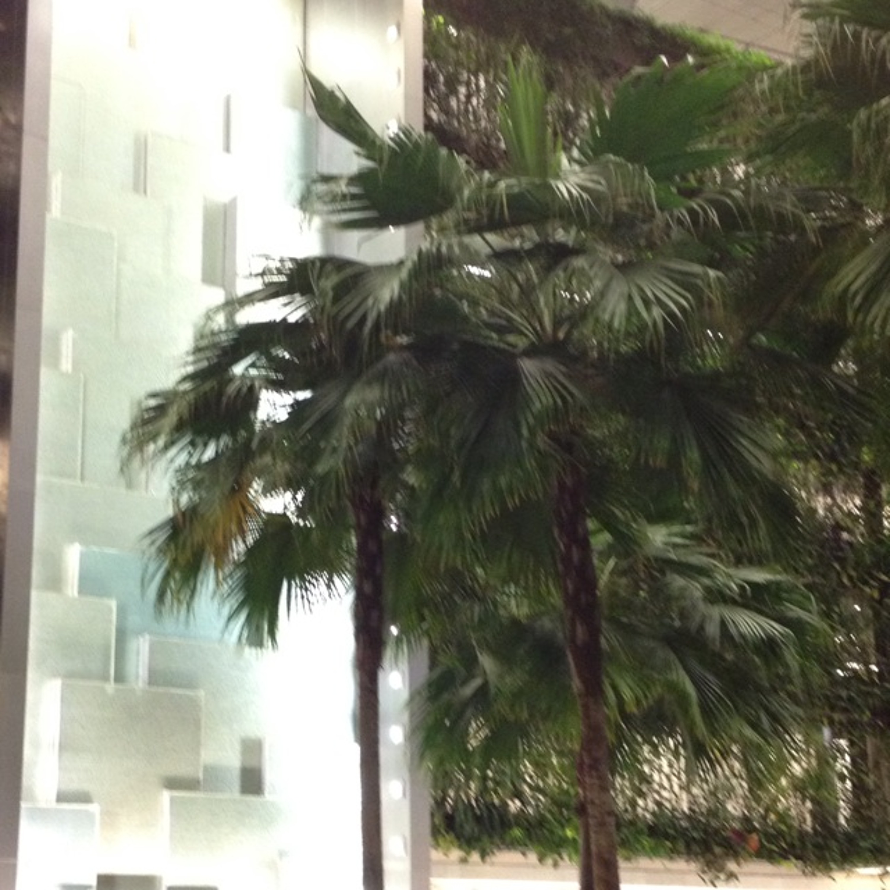 What Is Singapore Like When You Arrive After Midnight? Some Initial Observations episode artwork