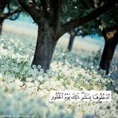 وقتهم نعيم في نعيم ()"