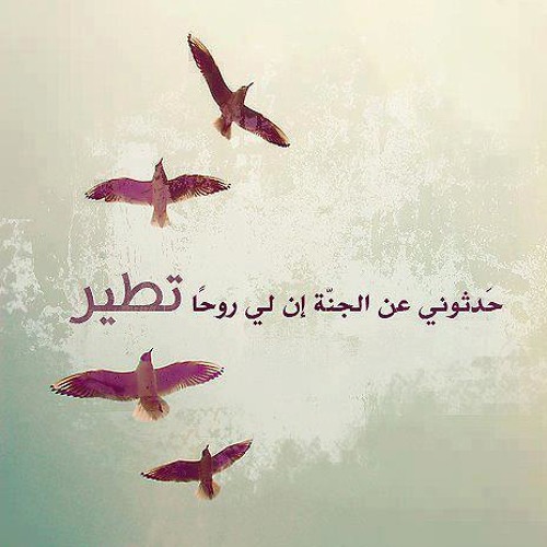 فِ جنّہ'ةِ خُلدٍ ツ