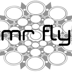Mr.FLY PROG SHIT (Original Mix)