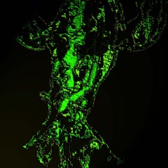 Tentacle #4