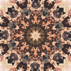 She And All Her Elements