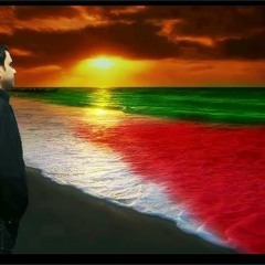 Palestine Forever