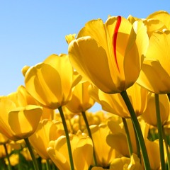 It's Beautiful Today