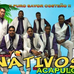 Organizacion Nativos de Acapulco busca el disco completo en http://www.hulkshare.com/u4ixg059iozk