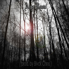 Alyx - Borderland (prod by Blvck Chrxs)