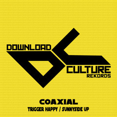 Coaxial -  Sunny Side Up (Download Culture) AVAILABLE NOW