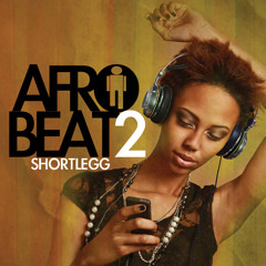 TECDJS AFROBEAT MIX 2